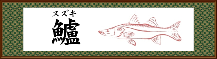 鱸 スズキ