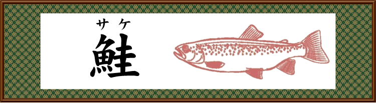 鮭 サケ